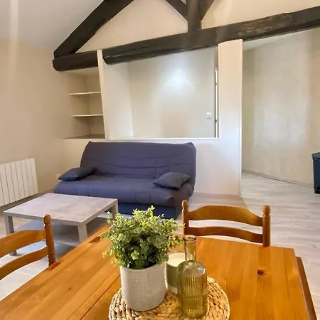 Climatise Proche Gare Apartment Bourg-en-Bresse